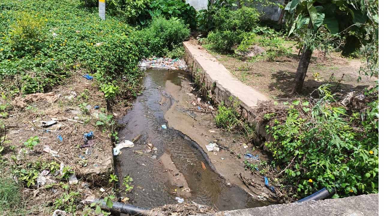 Sanitation | అప్పన్నపేటలో పడకేసిన పారిశుద్ద్యం..