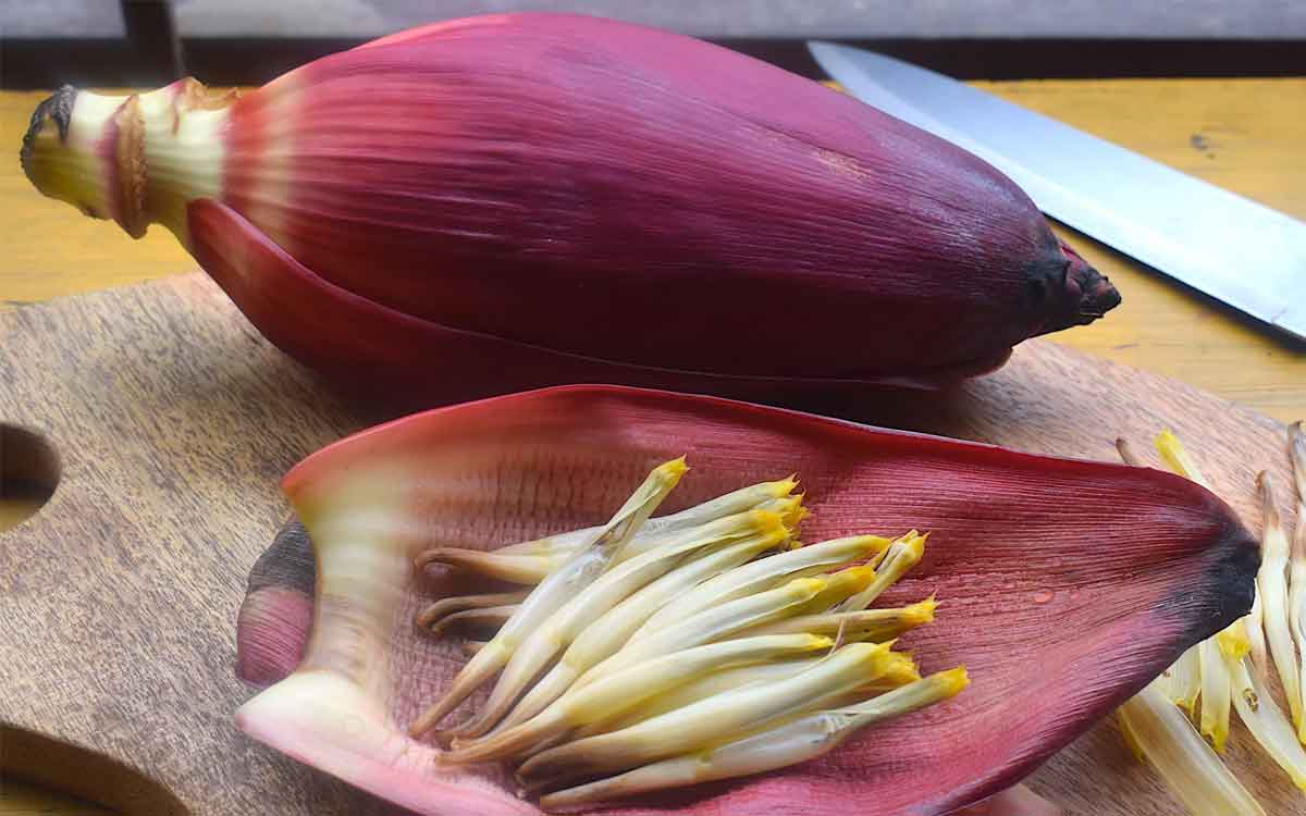 Banana Flower | అర‌టి పువ్వును తిన‌డం వ‌ల్ల ఇన్ని లాభాలు ఉన్నాయా..? తెలిస్తే వెంట‌నే తిన‌డం ప్రారంభిస్తారు..!