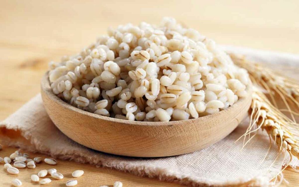Barley Seeds