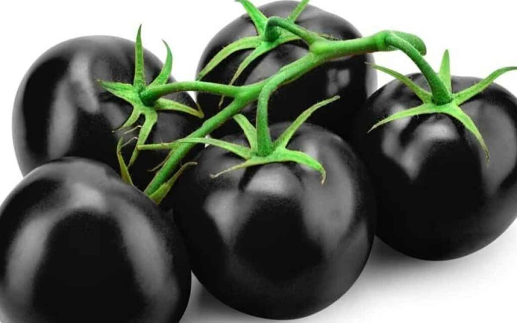 Black Color Tomatoes