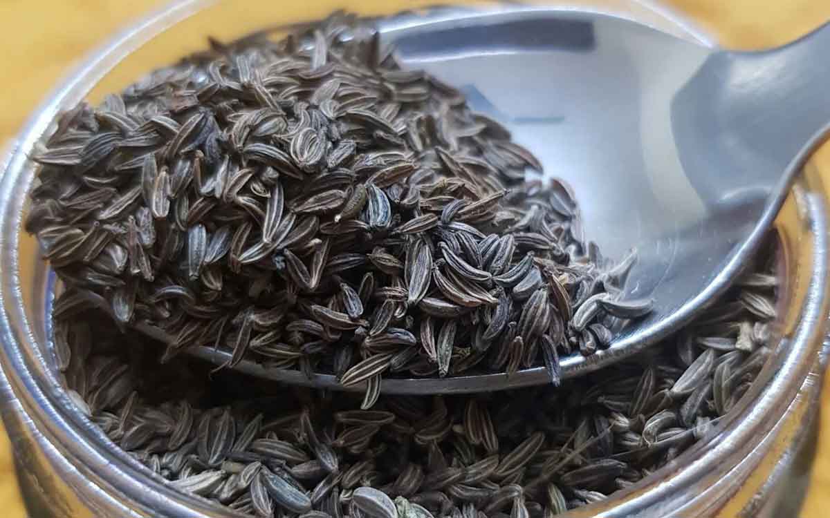 Black Cumin | నల్ల జీలకర్ర మనకు ఎన్ని రకాలుగా లాభాలను అందిస్తుందో తెలుసా..? కచ్చితంగా తినాల్సిందే..!