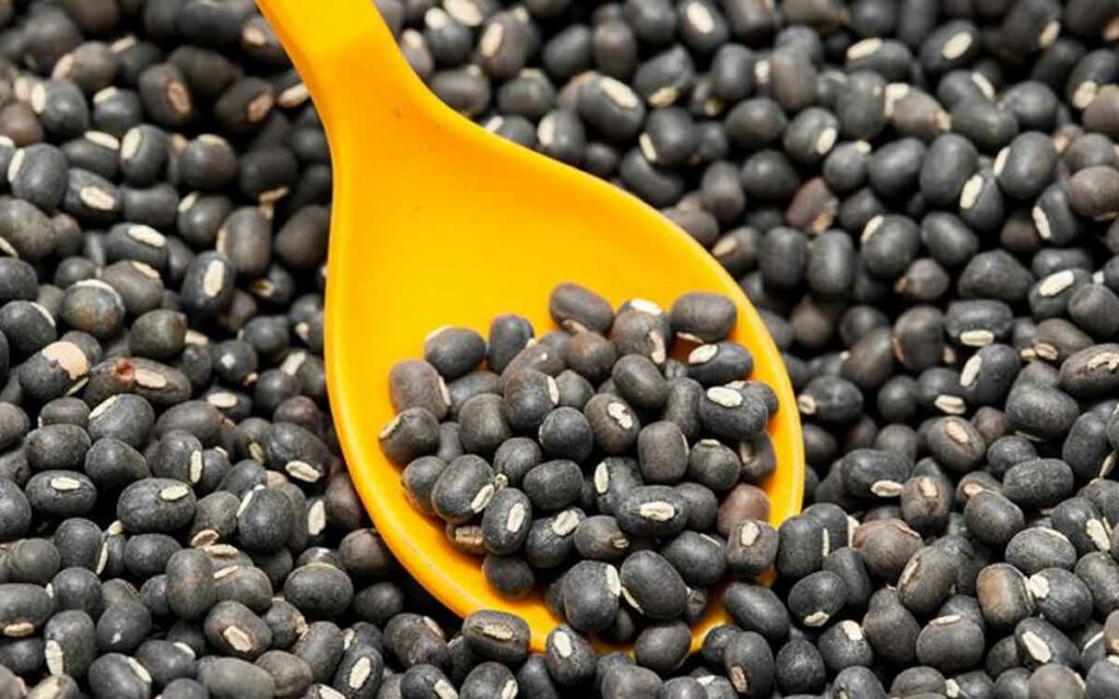 Black Gram