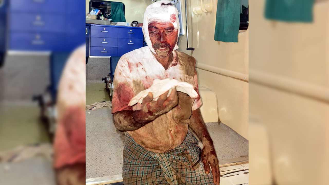 Urea Problems | యూరియా కొరత రైతు ప్రాణం మీదకు తెచ్చింది.. క్యూలైన్‌లో నిలబడేందుకు వెళ్తూ యాక్సిడెంట్‌