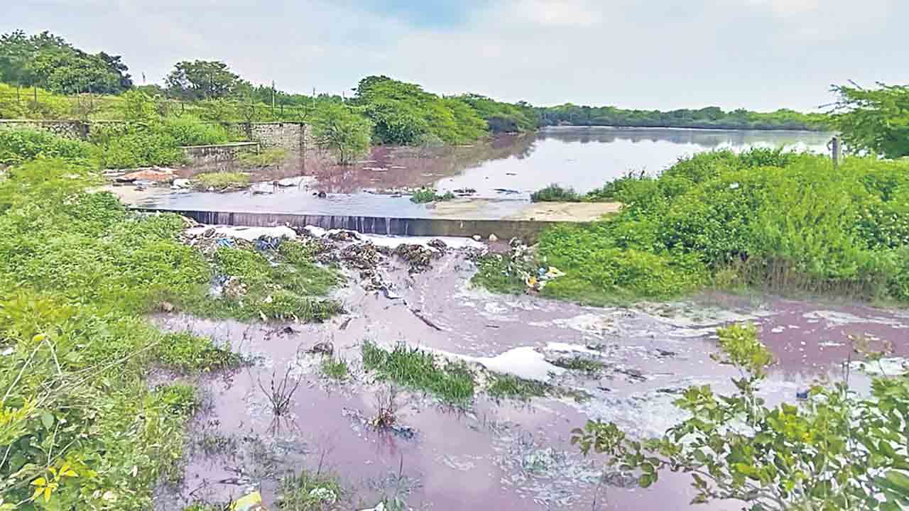 కాటేస్తున్న కాలుష్యం !