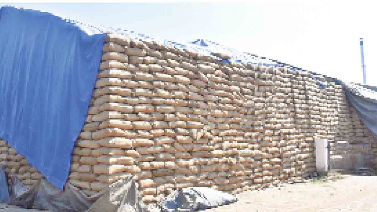 రైస్‌ మిల్లులా.. మజాకా..!