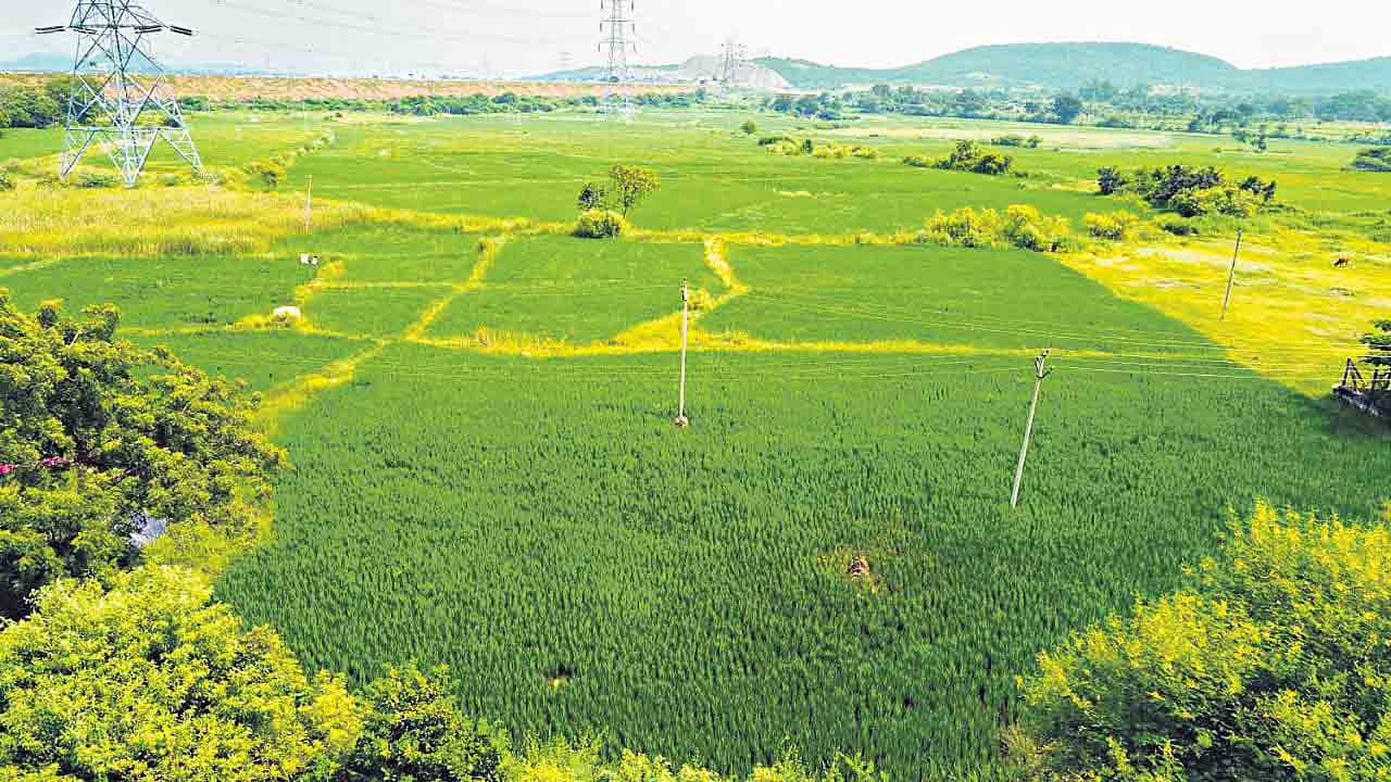 పల్లెపల్లెన పంటలు మొలిచే పాలమూరులోన!.. లిఫ్ట్‌ ఇరిగేషన్‌ స్కీమ్‌లతో రివర్స్‌ మైగ్రేషన్‌