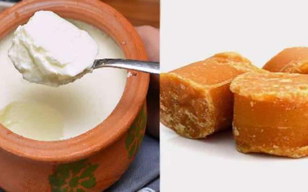 Curd With Jaggery