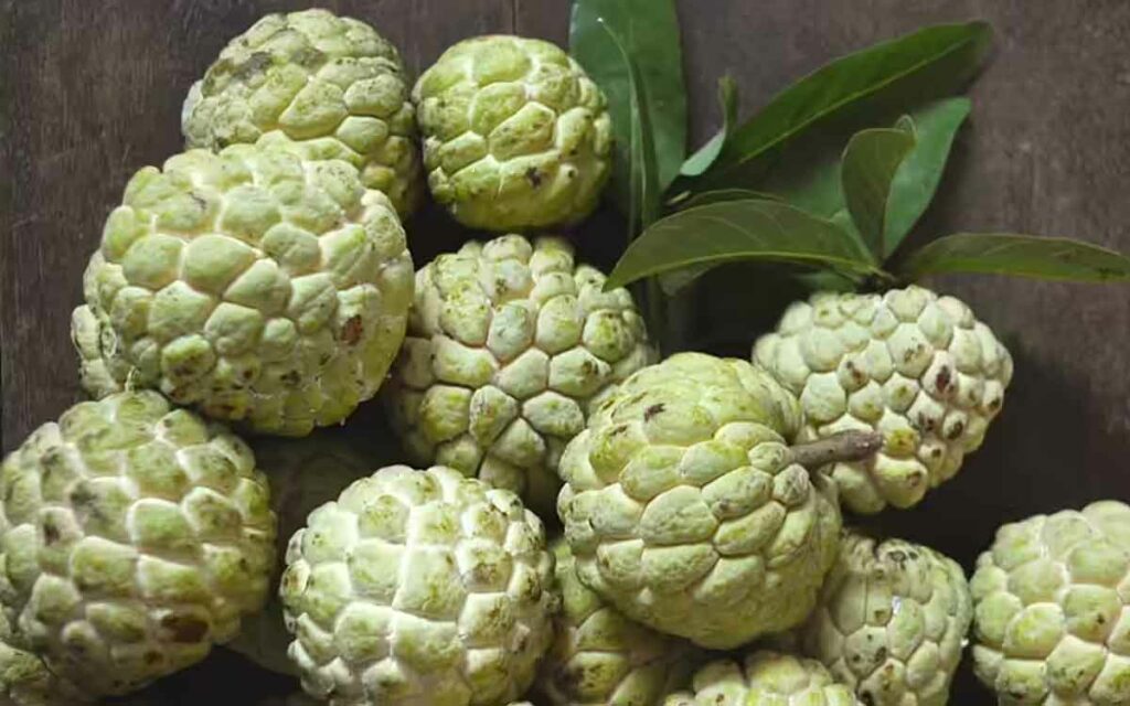 Custard Apple