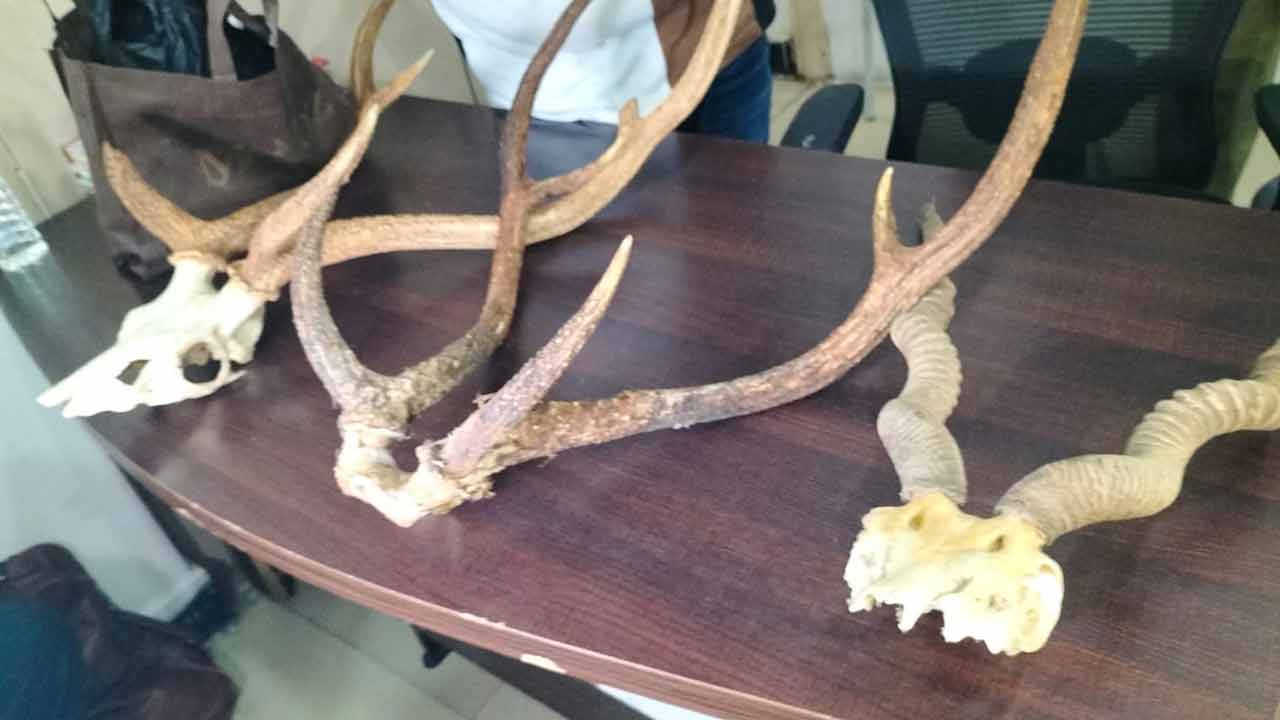 Deer | హైదరాబాద్లో జింక మాంసం కలకలం.. ఇద్దరు అరెస్ట్