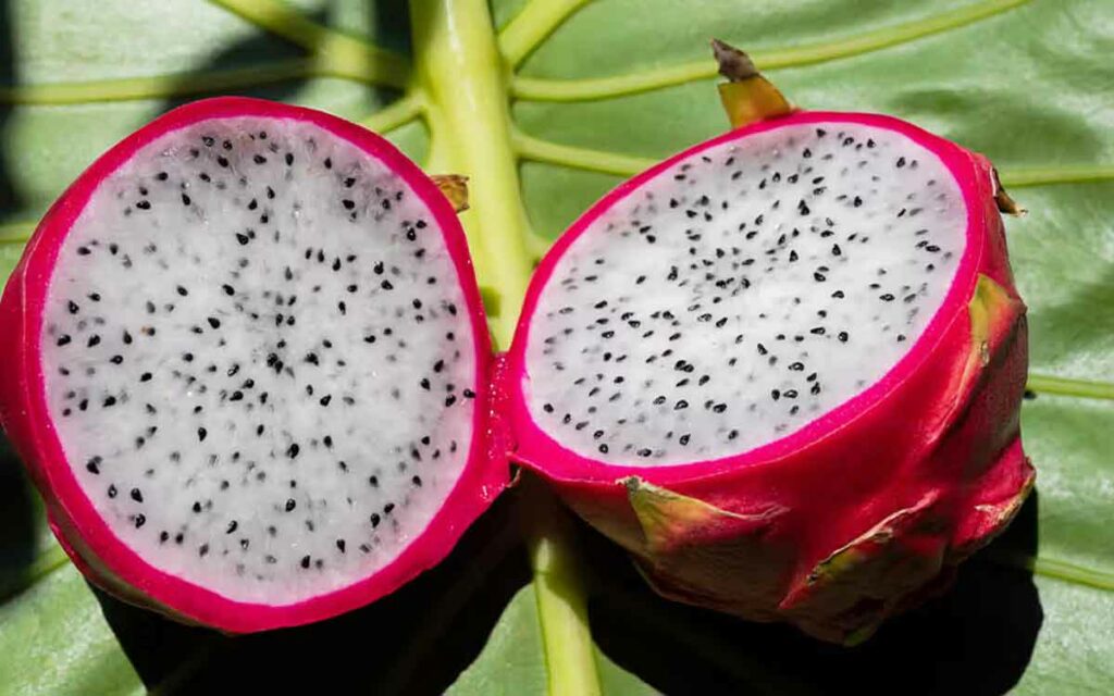 Dragon Fruit