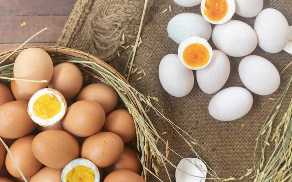 Eggs