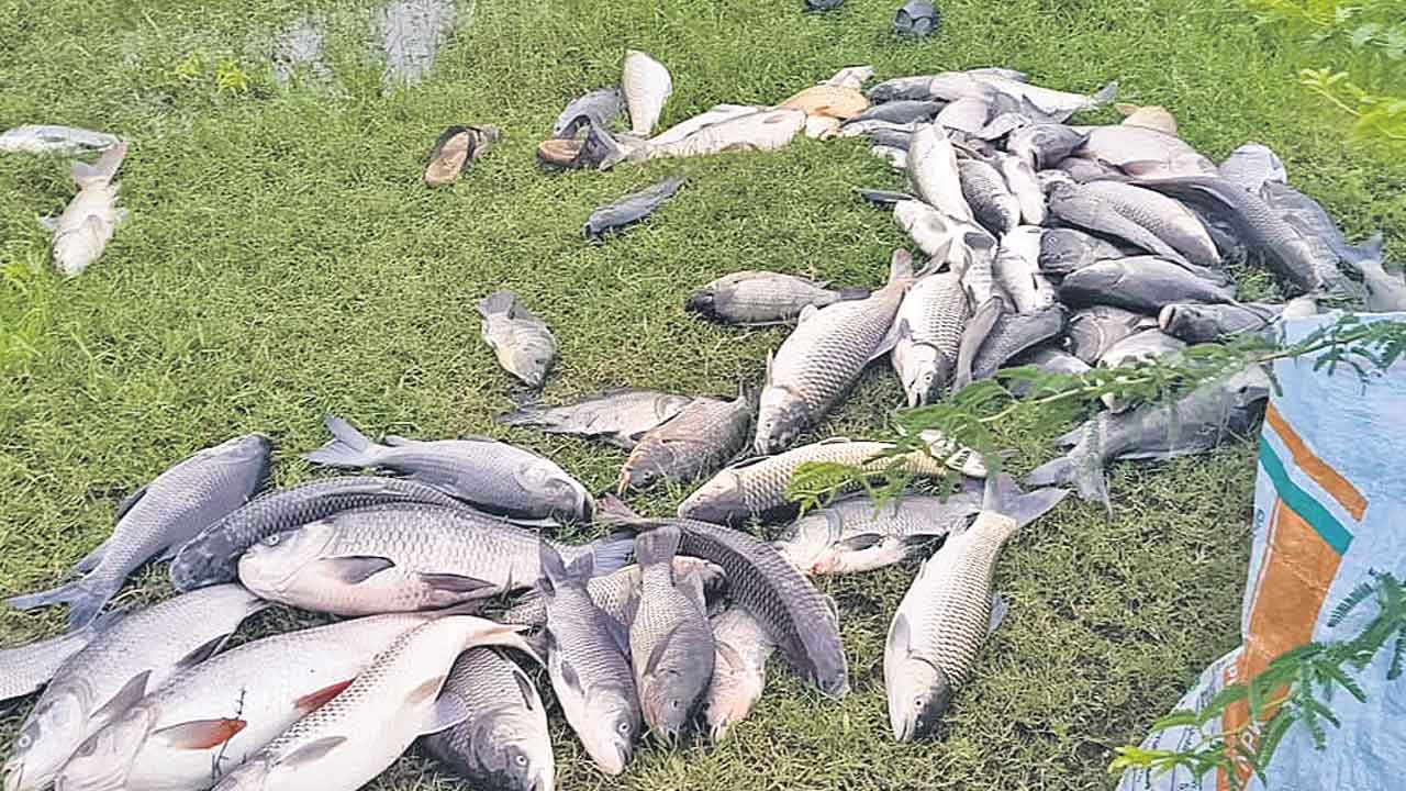 వరద నీటిలో విష రసాయనాలు