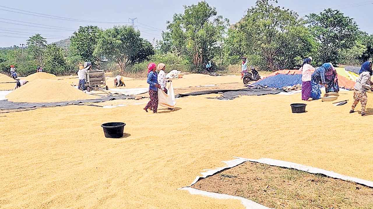 సన్నాలకు బోనస్‌ ఎప్పుడో..?