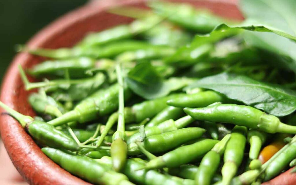 Green Chilli