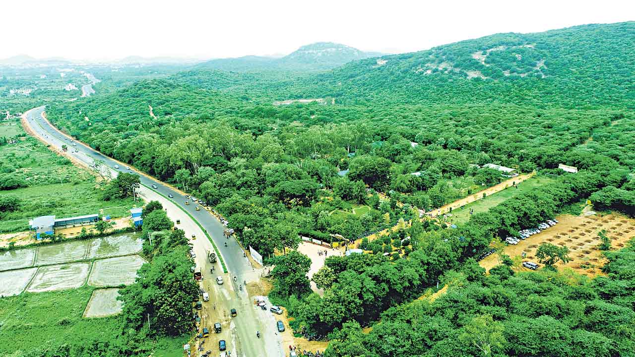 రికార్డు స్థాయిలో హరితహారం.. బీఆర్‌ఎస్‌ హయాంలో104%తో లక్ష్యాన్ని అధిగమించిన పెంపకం