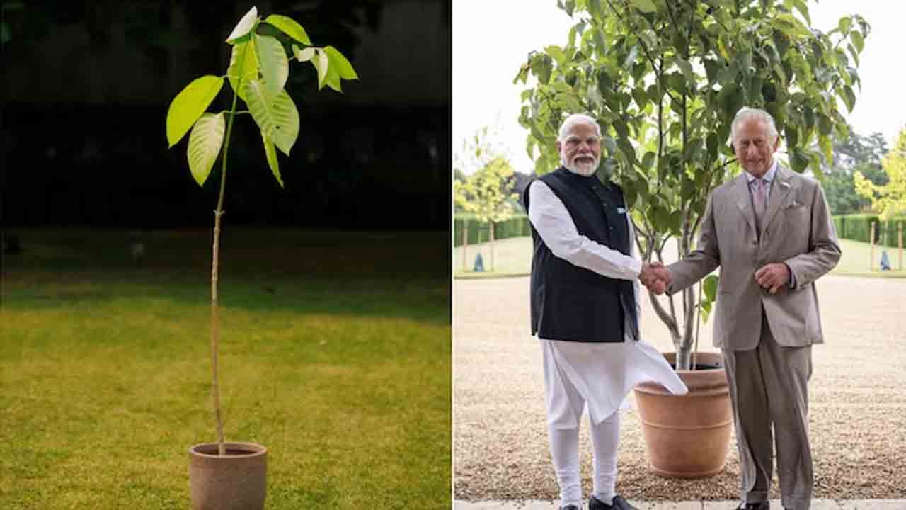 PM Modi | ప్రధాని మోదీకి బర్త్‌డే గిఫ్ట్‌ పంపిన బ్రిటన్‌ రాజు.. ఏమిచ్చారో తెలుసా?