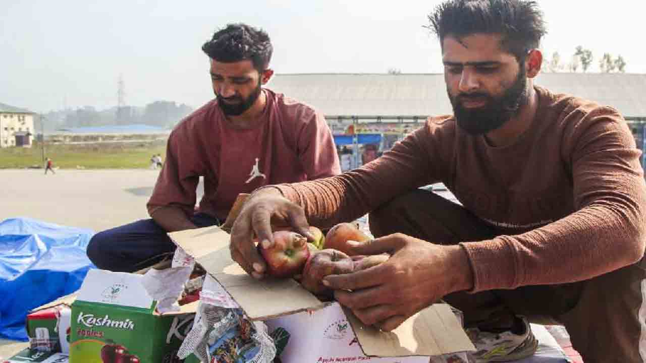Kashmir Apples: స్తంభించిన హైవే.. మురిగిపోతున్న యాపిల్స్‌.. 700 కోట్ల న‌ష్టం