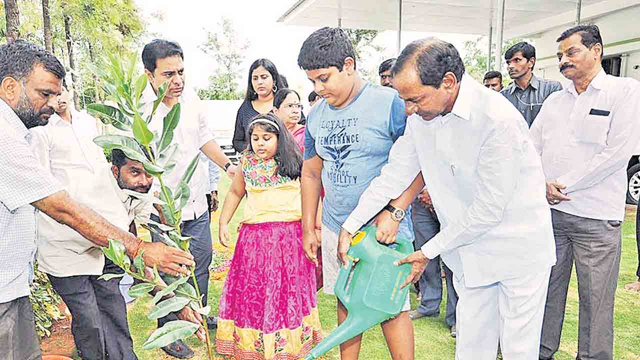 భవిష్యత్తుకు మణిహారం.. హరితహారం