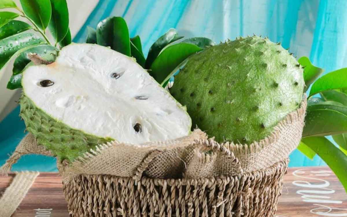 Lakshman Phal | ల‌క్ష్మ‌ణ ఫ‌లాన్ని మీరెప్పుడైనా తిన్నారా..? దీన్ని తింటే ఎలాంటి అద్భుతాలు జ‌రుగుతాయో తెలుసా..?