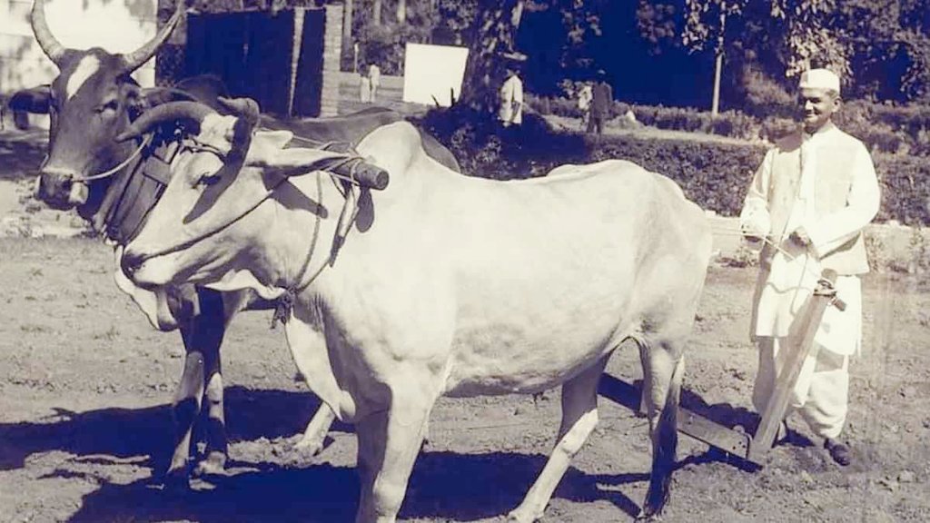 Lal Bahadur Shastri | అక్టోబర్ 2.. మహాత్మాగాంధీతో పాటు భారత మాజీ ప్రధాని లాల్ బహదూర్ శాస్త్రి జయంతి కూడా. 1904 అక్టోబర్ 2న యూపీలోని మొగల్ సరాయిలో శాస్త్రి జన్మించారు. నెహ్రూ తర్వాత భారతదేశానికి మూడో ప్రధానమంత్రిగా శాస్త్రి బాధ్యతలు స్వీకరించారు. తన జీవితాంతం సామాన్యుల అభివృద్ధి కోసం పాటుపడిన శాస్త్రి.. జై జవాన్-జై కిసాన్ పిలుపునిచ్చారు. 1965లో ఇండియా పాకిస్థాన్ యుద్ధకాలంలో భారతదేశానికి కీలకంగా నడిపించారు. కాగా ఈ యుద్ధం తర్వాత 1966 జనవరి 10 తాష్కెంట్ ఒప్పందం ద్వారా యుద్ధం ముగిసింది. అయితే ఆ ఒప్పందం జరిగిన తర్వాత రోజునే తాష్కంట్‌లో శాస్త్రి అనుమానాస్పదంగా గుండెపోటుతో మరణించారు. 