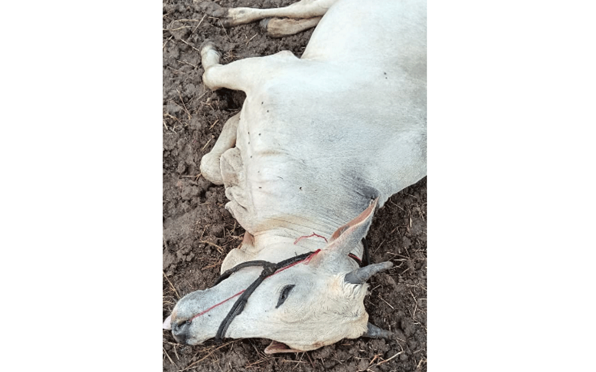 Karepally : కొమ్మినేపల్లిలో పిడుగుప‌డి రైతుకు తీవ్ర‌గాయాలు