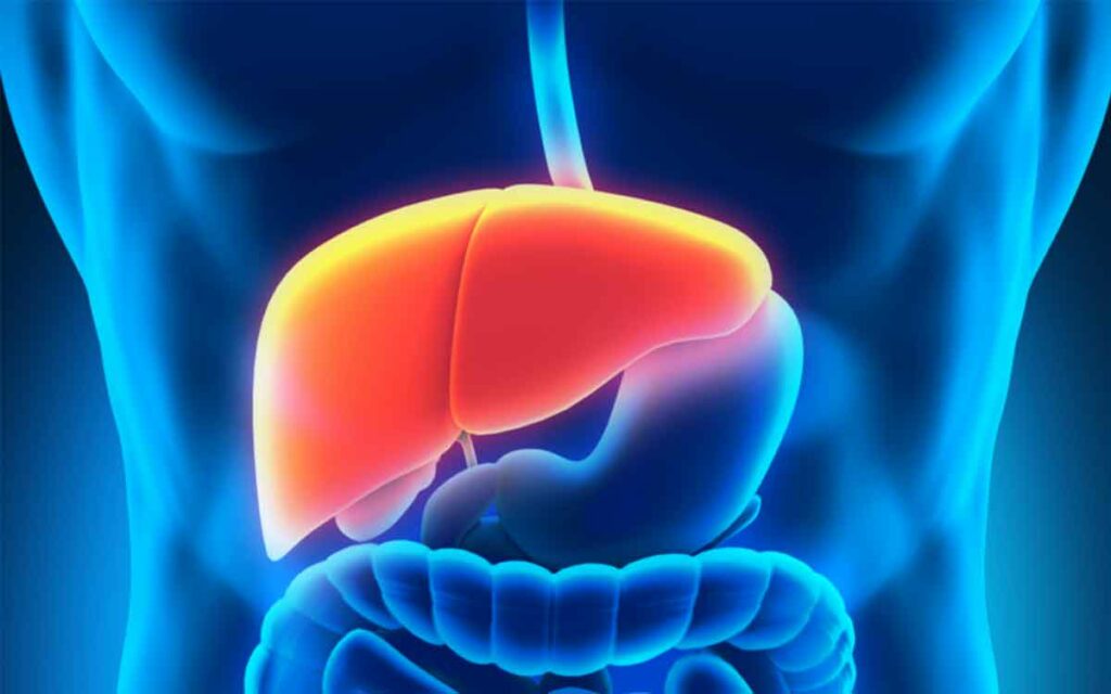 Liver Health