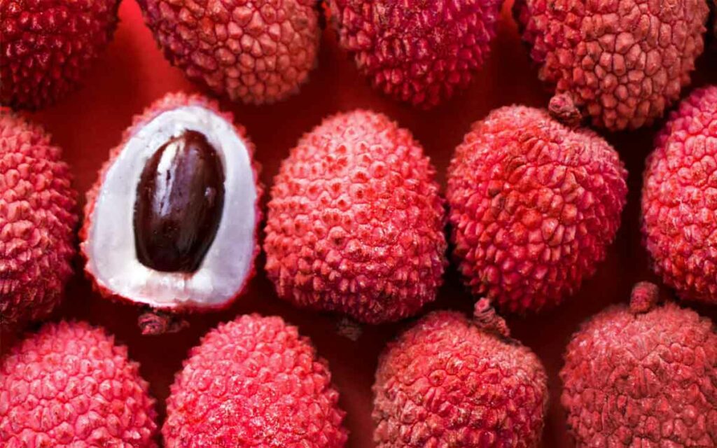 Lychee