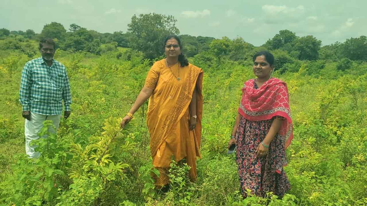 MPDO Mamata Bai | మొక్కల పెంపకానికి ప్రాధాన్యత ఇవ్వాలి : ఎంపీడీవో మమతా బాయి