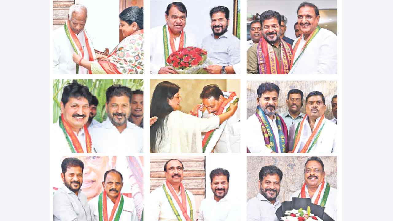 Mlas