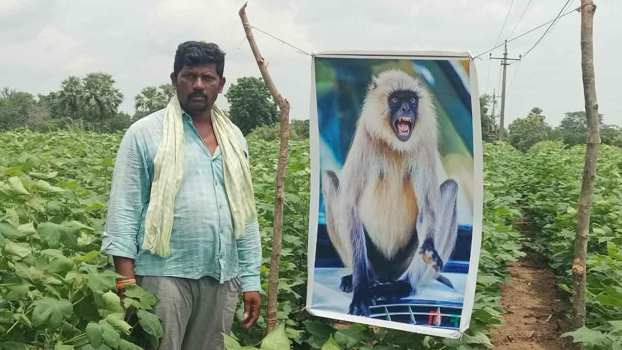 Langur plexi | కొండెంగ ఫ్లెక్సీతో కోతులకు చెక్‌..! రైతన్న వినూత్న ఆలోచన