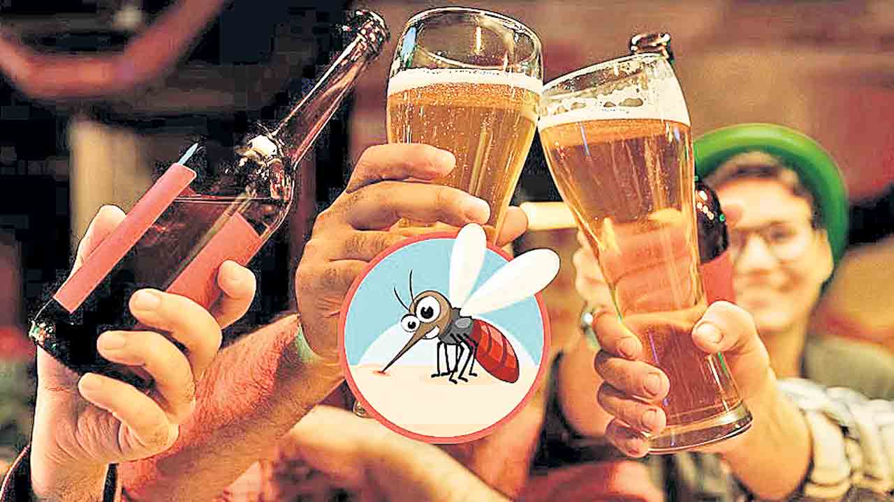 మీరు బీరు తాగుతారా.. అయితే దోమలు మీ వెంటే!