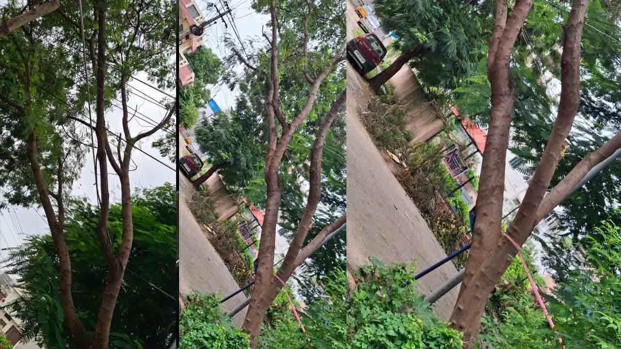 Nizamabad | ప్రమాదకరంగా చెట్టు.. పట్టించుకునే వారే లేరు