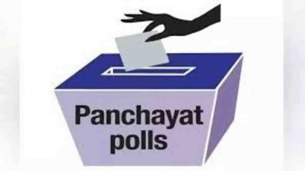 Panchaitee