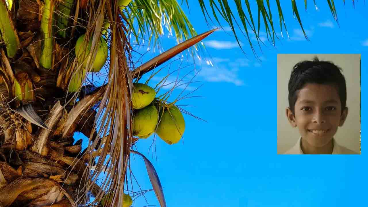 Parrot | రామచిలుకను పట్టుకునేందుకు ప్రయత్నించి.. 12 ఏండ్ల బాలుడు మృతి