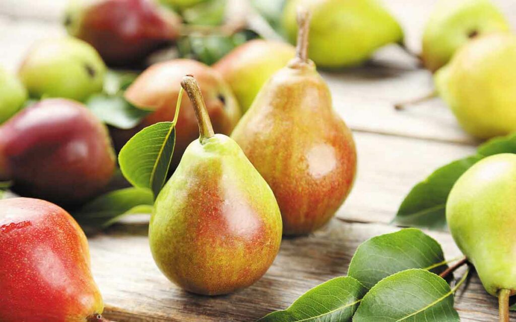Pears