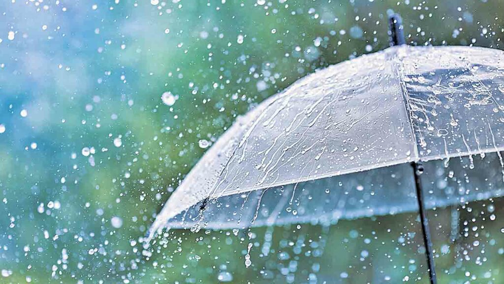 Rains