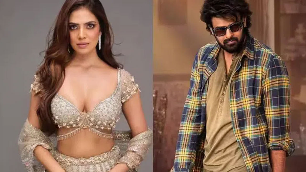 Raja Saab | ఫ్లోలో ప్ర‌భాస్ రాజా సాబ్ అప్‌డేట్ ఇచ్చిన ముద్దుగుమ్మ‌.. హారర్, కామెడీ మేళవింపుతో ఎప్పుడు వ‌స్తుంది అంటే..!