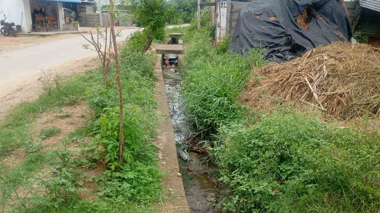 Rayapole | కొత్తపల్లిలో పడకేసిన పారిశుధ్యం.. వ్యాధుల బారిన పడుతున్న ప్రజలు