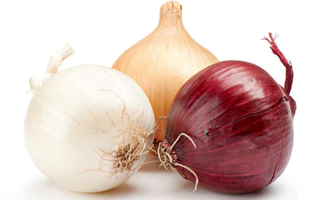 Red Vs White Onions