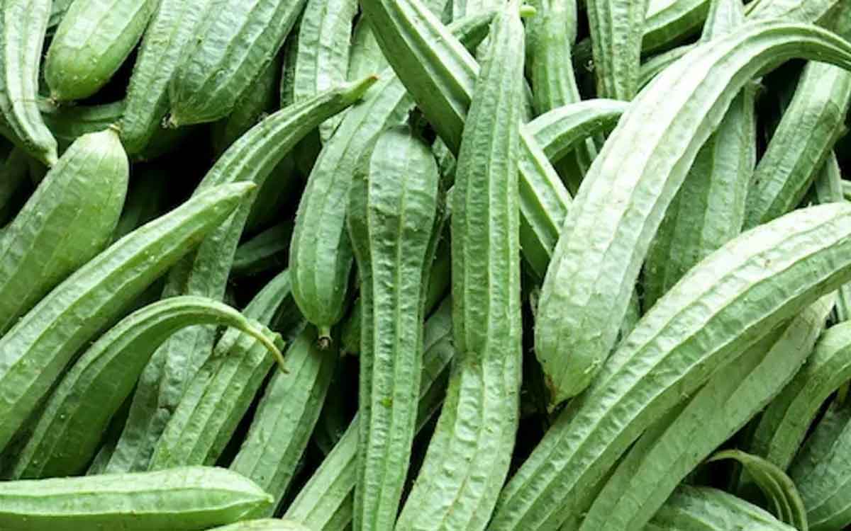 Ridge Gourd Juice | రోజూ ఉదయాన్నే పరగడుపునే ఒక కప్పు బీరకాయ జ్యూస్ను తాగండి.. జరిగే అద్బుతాలు చూడండి..!