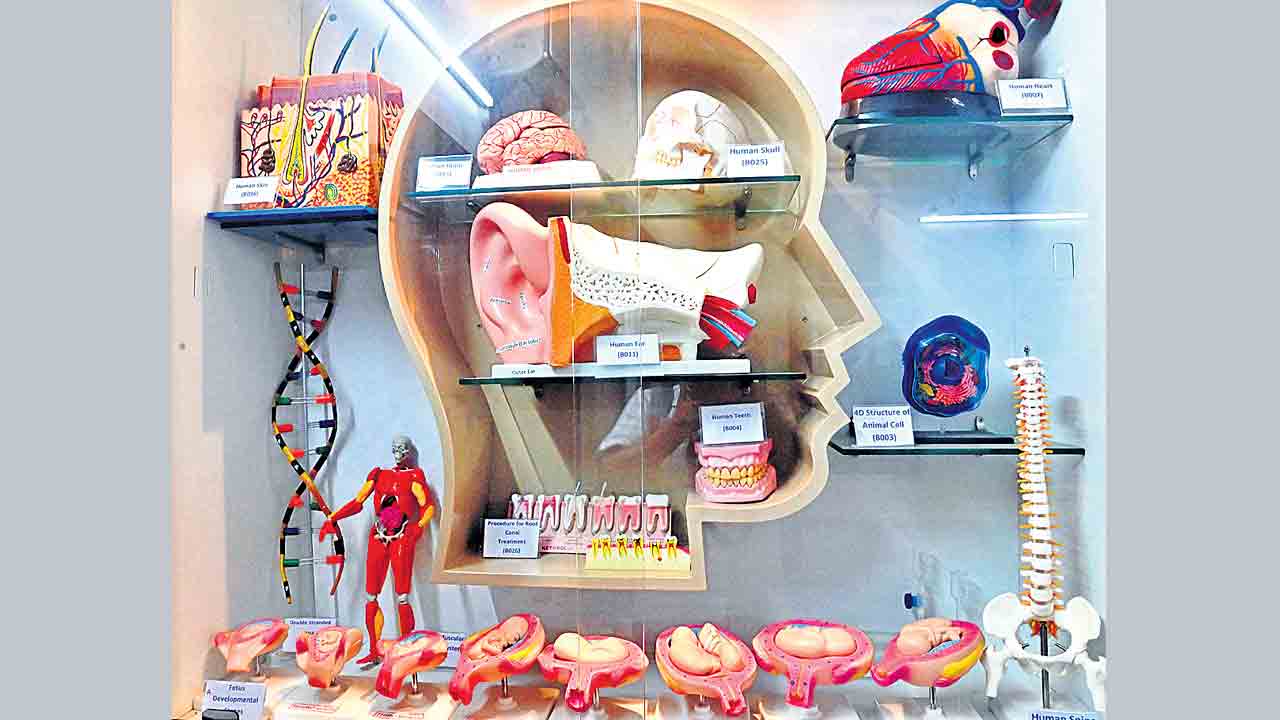 Science Lab
