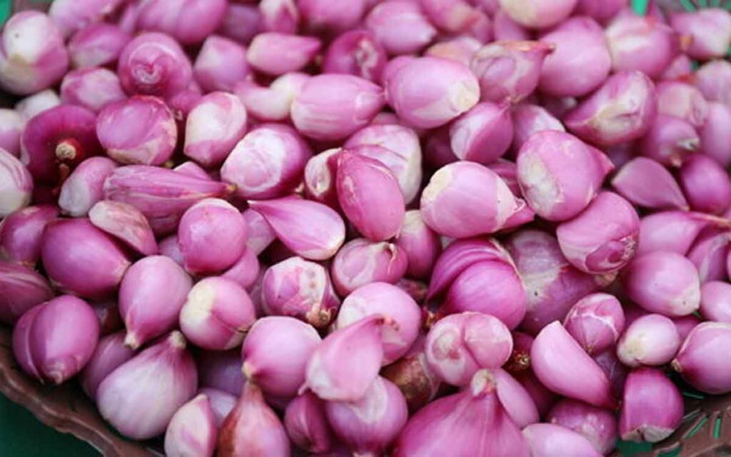 Small Onions