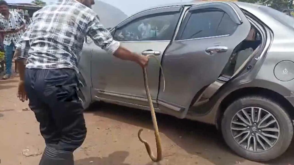 Snake Car