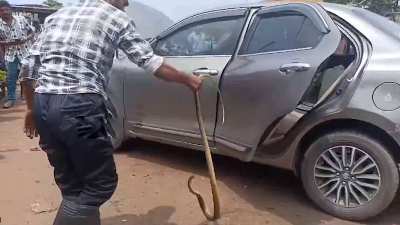 Snake in Car | కారులో పాము కలకలం.. హ‌డ‌లిపోయిన దంప‌తులు