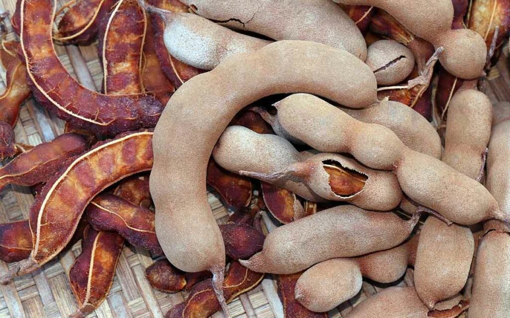 Tamarind