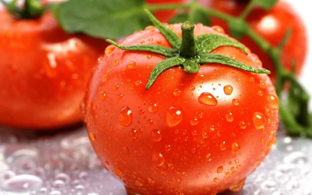 Tomatoes