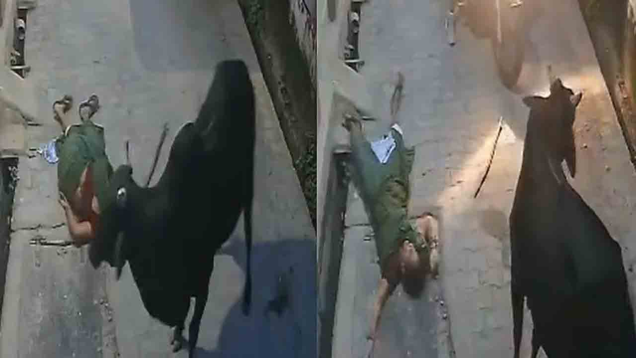 Watch: మహిళను గాల్లోకి విసిరిన ఎద్దు.. వీడియో వైరల్‌