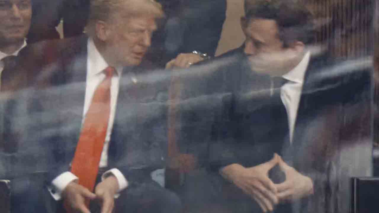 Trumpmusk 1
