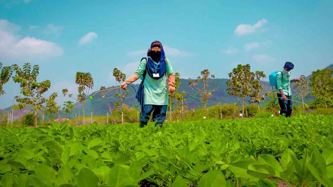 వ్యవసాయ, ఉద్యాన వర్సిటీల్లో యూజీ కౌన్సెలింగ్‌