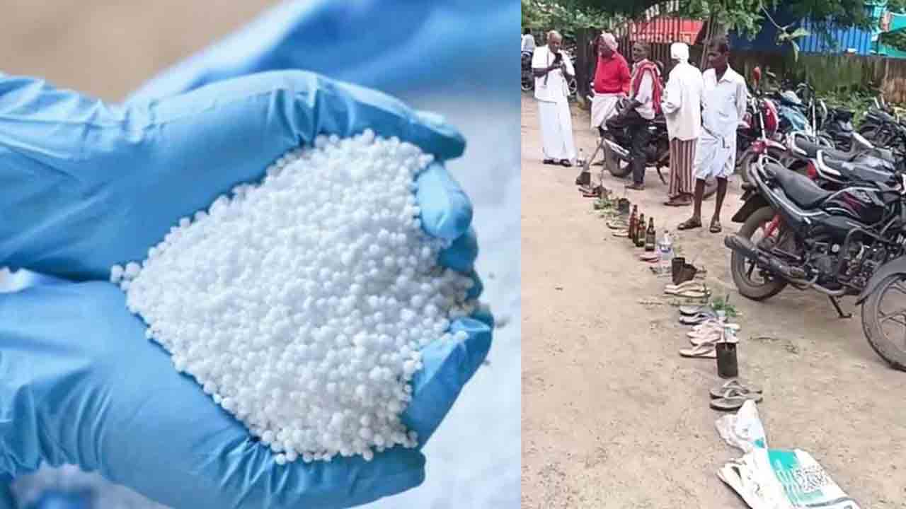 Nalgonda | యూరియా లైన్‌లో తోపులాట.. ఆస్పత్రిలో చికిత్స పొందుతూ మహిళా రైతు మృతి